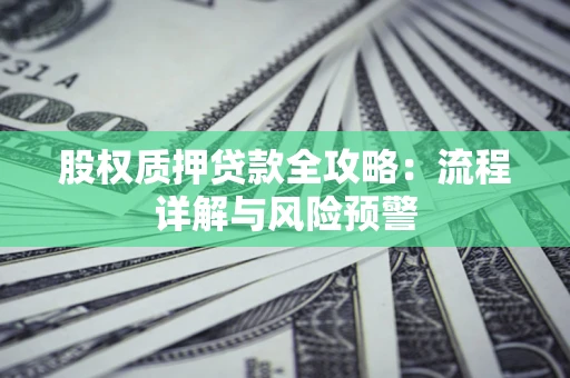 武汉股权质押贷款全攻略：流程详解与风险预警