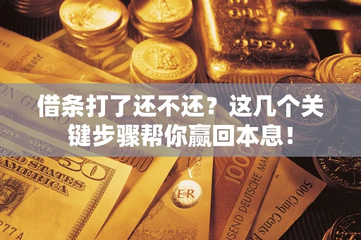 武汉借条打了还不还？这几个关键步骤帮你赢回本息！