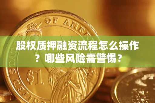 武汉股权质押融资流程怎么操作？哪些风险需警惕？