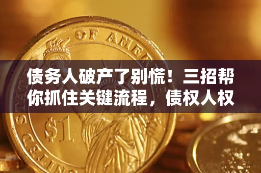 武汉债务人破产了别慌！三招帮你抓住关键流程，债权人权益不再缩水