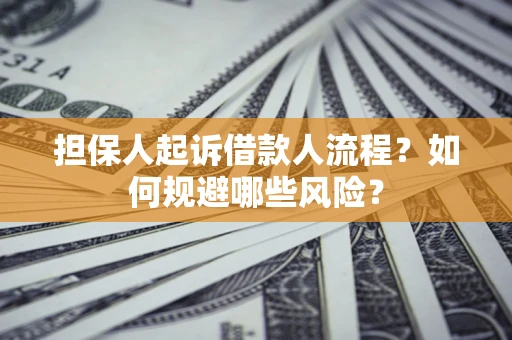 武汉担保人起诉借款人流程？如何规避哪些风险？
