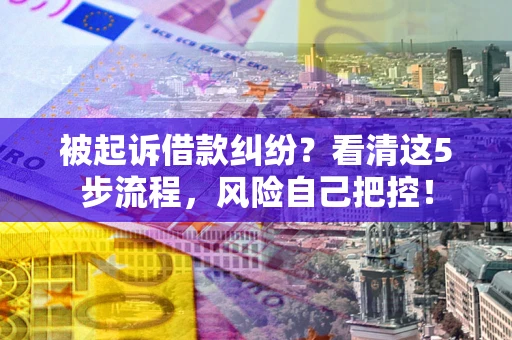 武汉被起诉借款纠纷？看清这5步流程，风险自己把控！