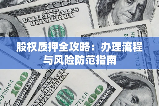 武汉股权质押全攻略：办理流程与风险防范指南