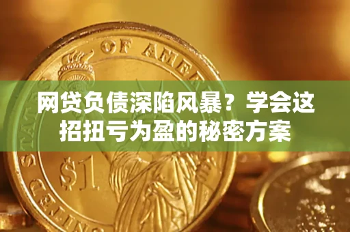 武汉网贷负债深陷风暴？学会这招扭亏为盈的秘密方案