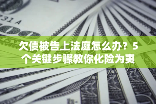 武汉欠债被告上法庭怎么办？5个关键步骤教你化险为夷